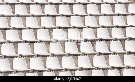Empty white stadium chairs in a row Stock Photo