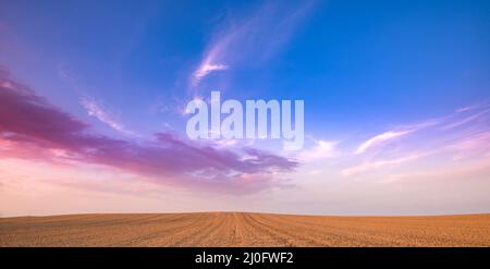 Agricultural meadow field and cloudy sky during sunset. Stock Photo