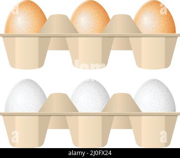 Eggs in carton box on a white background. Stock Vector