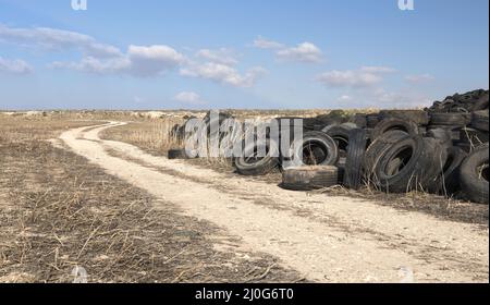 Used Tires in a  wheel Recycling Yard Stock Photo