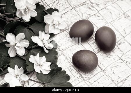 Three red Easter eggs and blooming daffodils Stock Photo