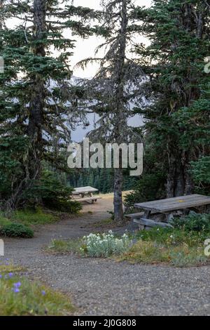 gravel path through forest hills with picnic benches Stock Photo