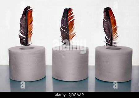 Toilet paper and a bird feather, a symbol of soft touch. Stock Photo