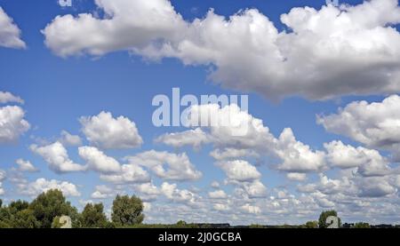 Summer landscape: blue sky and white clouds Stock Photo