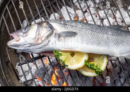 Grilled gilthead with lemon Stock Photo