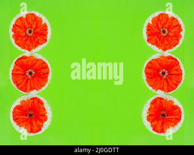 Background a frame of flower buds red poppies on a green background with a copy space Stock Photo