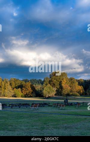 dramatic skies over grass and autumn trees Stock Photo