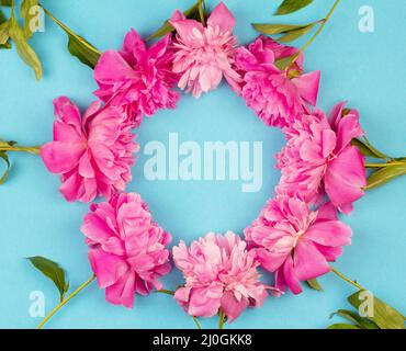 Round frame wreath of a bouquet of pink peony flowers close up on a blue background with a copy space Stock Photo