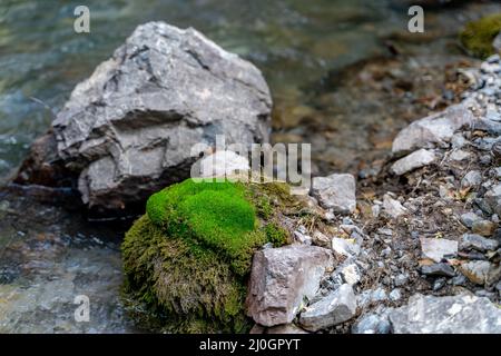 The small cute stream flows between green moss and stones in Fann mountains in Tajikistan Stock Photo