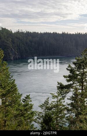 view of ocean inlet through pine forests on cliffsides Stock Photo - Alamy