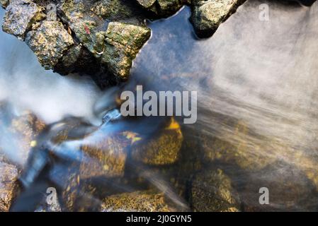 Details of a pristine creek at Molino Quemado, Rosario, Colonia, Uruguay. Stock Photo