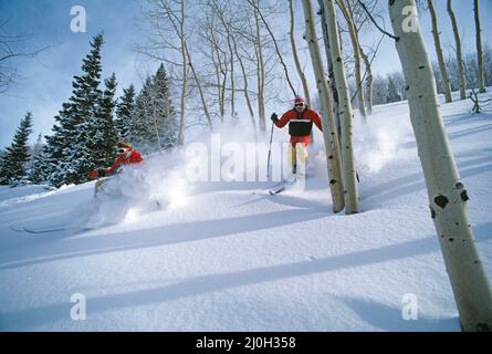USA. Utah. Park city. Downhill skiing between Aspen Trees. Stock Photo