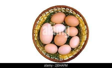 Many raw eggs in the paner Stock Photo