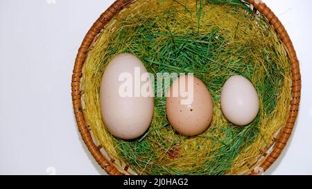 Huge chicken egg Stock Photo