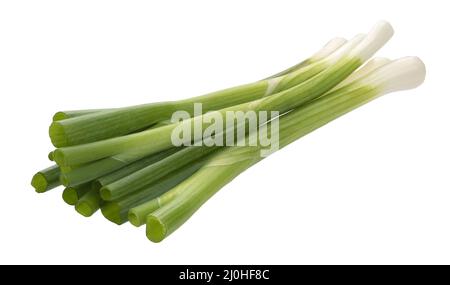 Green onion, fresh chives isolated on white background Stock Photo