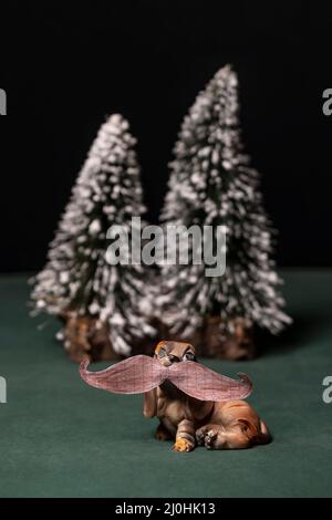 A toy dog with a human mustache drawn on paper, with snowy trees in the background Stock Photo