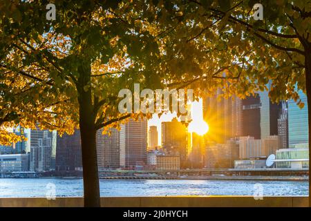 The sun sets among Midtown Manhattan skyscraper beyond the East River on November 2021 in New City. View from Franklin D. Roosevelt Four Freedoms Park Stock Photo