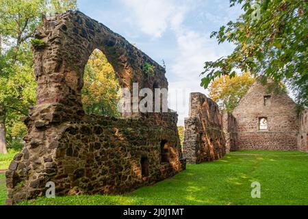 The ruins of the monastery church in Nimbschen, a former Cistercian abbey near Grimma in the Saxon district of Leipzig on the Mulde River in Germany. Stock Photo