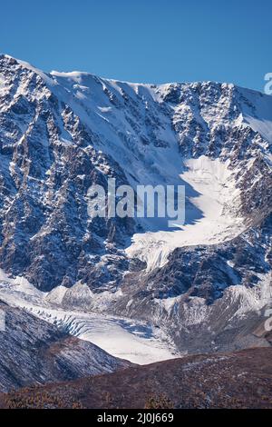 The North-Chui range in the Altai Mountains. Spiky fir trees in a ...