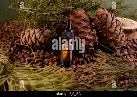 Coniferous Cedar Cosmetic Oil Among Cedar Nuts and Pine Cones  Stock Photo