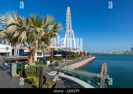 Dubai Eye or Al Ain, Bluewaters Island. United Arab Emirates. Middle East. Stock Photo