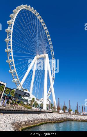 Dubai Eye or Al Ain, Bluewaters Island. United Arab Emirates. Middle East. Stock Photo