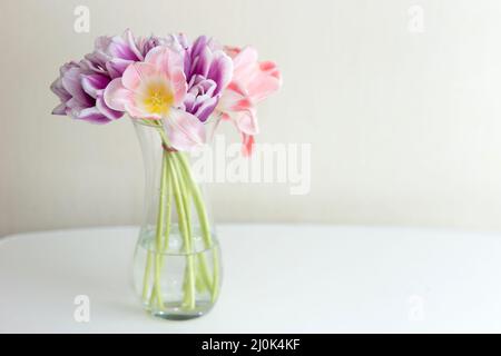 An open bouquet of pink and purple tulips stands in a glass transparent vase, on a white table Stock Photo