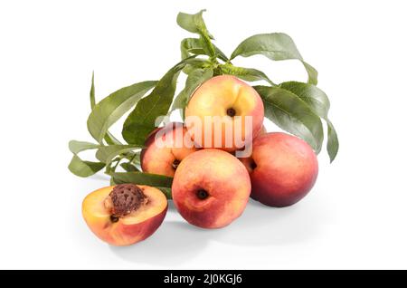 Nectarines in bulk on a white background with soft shadow Stock Photo