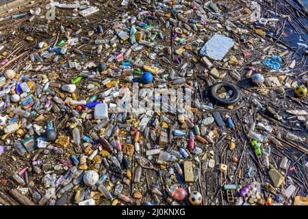 Floating waste debris at Salford Quays, Manchester, England, UK. Stock Photo