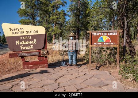 An entrance road going in Kaibab National Forest, Arizona Stock Photo