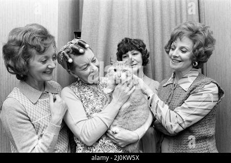 Coronation Street's Thelma Barlow (Mavis Riley), Jean Alexander (Hilda Ogden) and Barbara Knox (Rita Sullivan) with the Street's cat. November 1980. Stock Photo