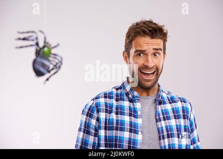 Facing his fears. Studio shot of a young man cowering in terror at a spider against a gray background. Stock Photo