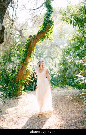 The bride stands near the beautiful tree covered with ivy in a picturesque park Stock Photo