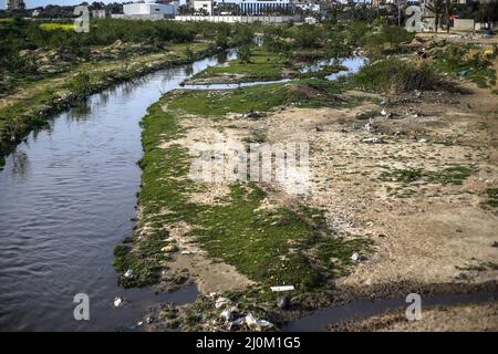 Gaza, Palestine. 19th Mar, 2022. General view of Wadi Gaza, a wetland area in the central Gaza Strip. In Wadi Gaza, plastic bottles and putrid water have taken the place of trees, flowers and animals. But aware of the health dangers, the local authorities are working to transform the marsh into the first natural park in the Palestinian enclave. Credit: SOPA Images Limited/Alamy Live News Stock Photo