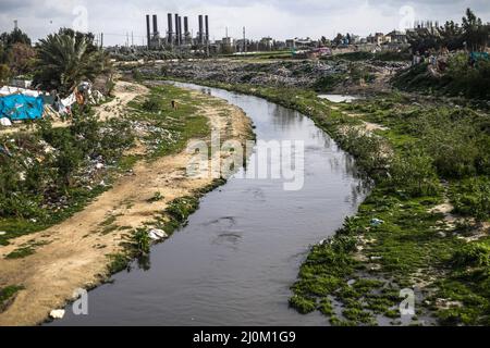 Gaza, Palestine. 19th Mar, 2022. General view of Wadi Gaza, a wetland area in the central Gaza Strip. In Wadi Gaza, plastic bottles and putrid water have taken the place of trees, flowers and animals. But aware of the health dangers, the local authorities are working to transform the marsh into the first natural park in the Palestinian enclave. Credit: SOPA Images Limited/Alamy Live News Stock Photo