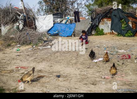 Gaza, Palestine. 19th Mar, 2022. A Palestinian girl plays in the wet area of Wadi Gaza in the central Gaza Strip. In Wadi Gaza, plastic bottles and putrid water have taken the place of trees, flowers and animals. But aware of the health dangers, the local authorities are working to transform the marsh into the first natural park in the Palestinian enclave. Credit: SOPA Images Limited/Alamy Live News Stock Photo