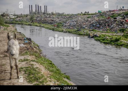 Gaza, Palestine. 19th Mar, 2022. Palestinian men work in sorting waste in the wet area of Wadi Gaza in the central Gaza Strip. In Wadi Gaza, plastic bottles and putrid water have taken the place of trees, flowers and animals. But aware of the health dangers, the local authorities are working to transform the marsh into the first natural park in the Palestinian enclave. (Photo by Mahmoud Issa/SOPA Images/Sipa USA) Credit: Sipa USA/Alamy Live News Stock Photo