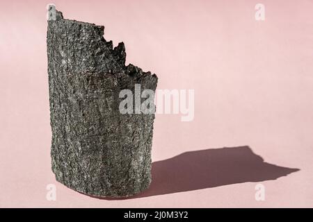 Pink background for cosmetic product presentation with shadows from sun. Backdrop with bark tree, display, mockup for product photography Stock Photo