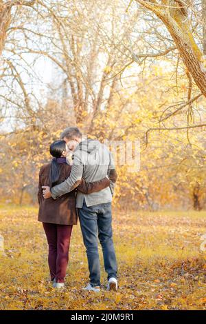 Autumn Mood In October In Park Branitz Near Cottbus Stock Photo - Alamy