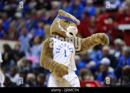 Bloomington, United States. 19th Mar, 2022. The Kentucky Wildcats mascot cheers against Princeton during round 1 of the NCAA 2022 Division 1 Women's Basketball Championship, at Simon Skjodt Assembly Hall in Bloomington. Princeton beat Kentucky 69-62. Credit: SOPA Images Limited/Alamy Live News Stock Photo