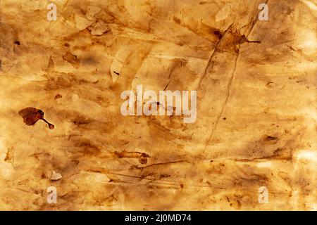 Burned old sheet of paper on transparent background. Texture of old paper. Stock Photo