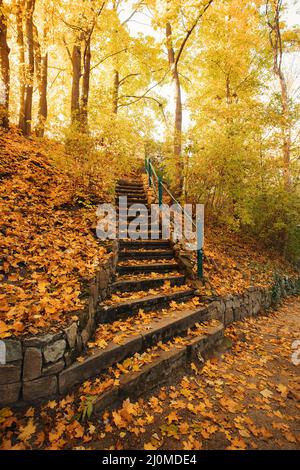Stone staircase leading up a walkway in autumn Stock Photo