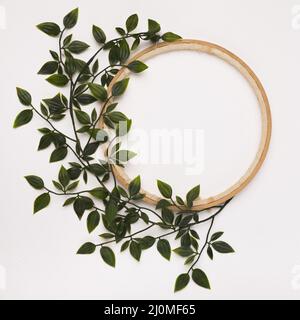 Green leaves decorated wooden circle frame against white backdrop Stock Photo