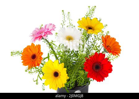 Flowers bouquet Stock Photo