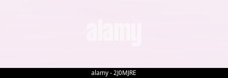 Photographic Pink Gradient Seamless studio backdrop Background Stock Photo