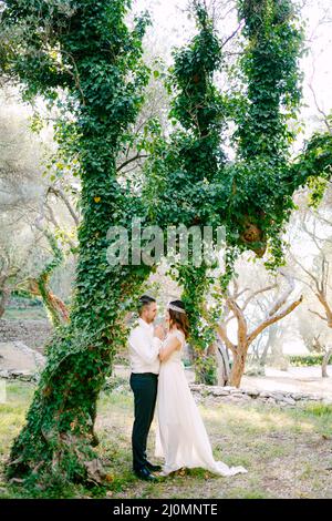 The bride and groom are hugging among picturesque trees covered with ivy in the olive grove Stock Photo