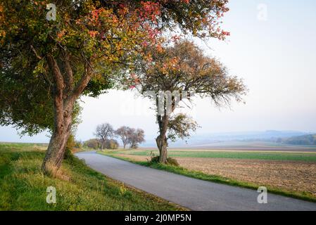 Road in autumn landscape in Burgenland Stock Photo