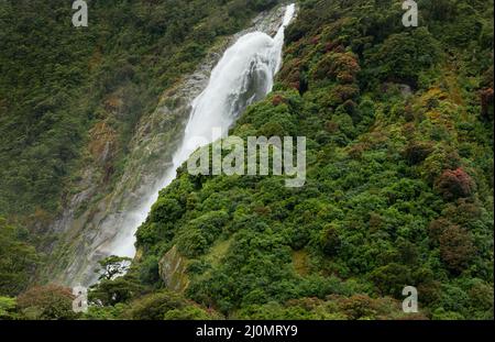 Lady Bowen Falls in Milford Sound with Southern Rata forest in bloom, South Island. Stock Photo