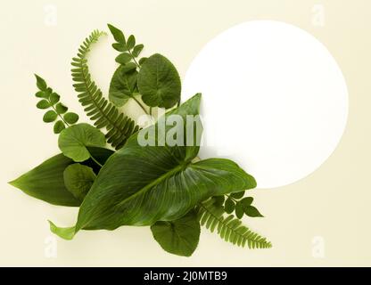 Flat lay assortment leaves Stock Photo