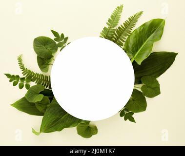 Flat lay assortment leaves with copy space Stock Photo